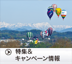 ���ڂ̃c�A�[