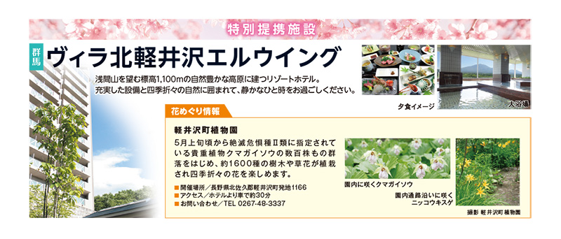 ���ʒ�g�{��