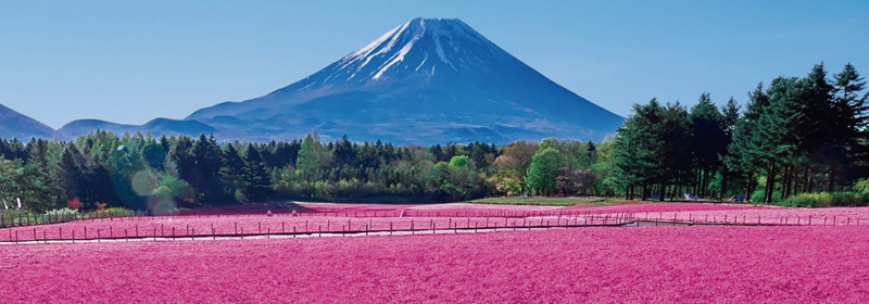 メッツイベント満載! 満喫しよう!!